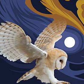 Expo Rapaces au Muséum de Toulouse