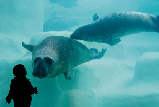 Aquarium de Biarritz