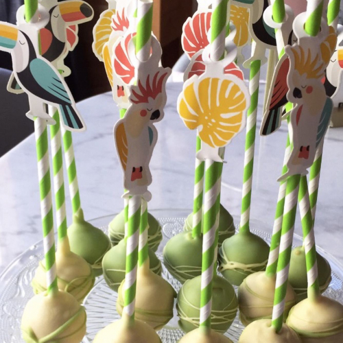 Mama Tea : pop cake oiseaux