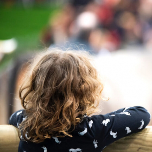 Salon de l'Agriculture : enfant spectateur