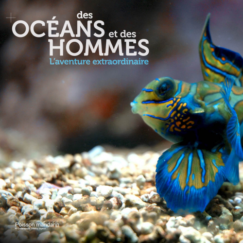 Des océans et des hommes