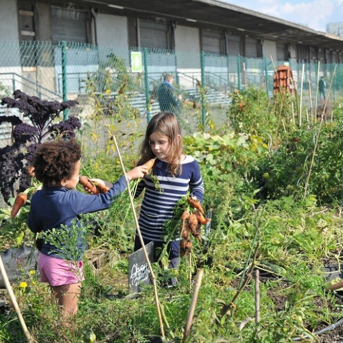 Ferme urbaine de Lille