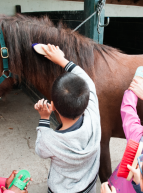 Fête du Cheval au Bouscat - Activités enfants