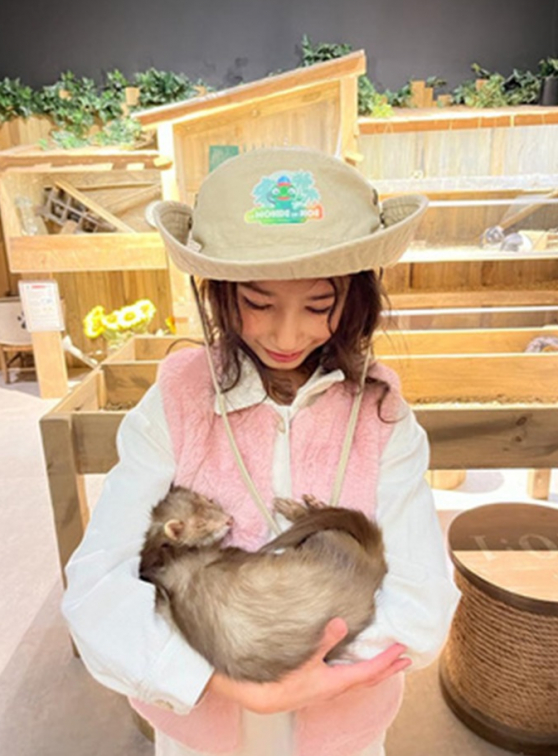 Le Monde de Noé Paris : ranger