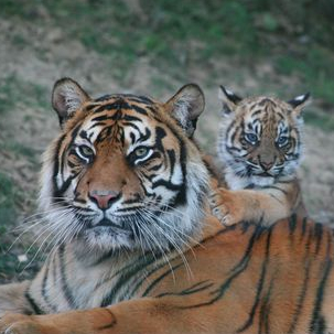 Zoo de Champrepus