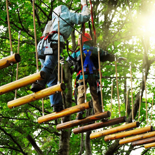 Au fil des arbres accrobranche