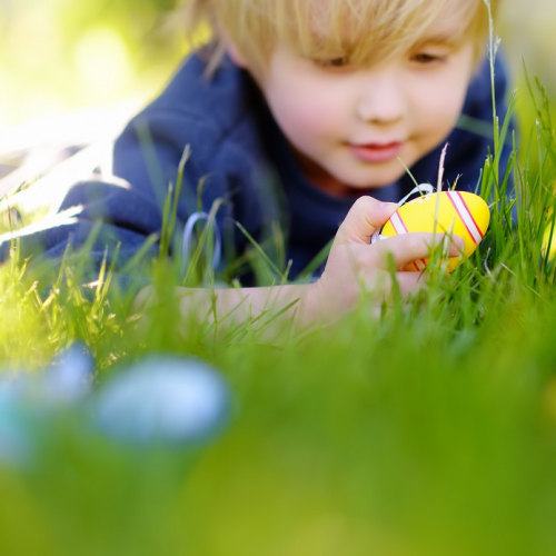 Pâques 2024 à Eze : un petit garçon trouve des œufs dehors