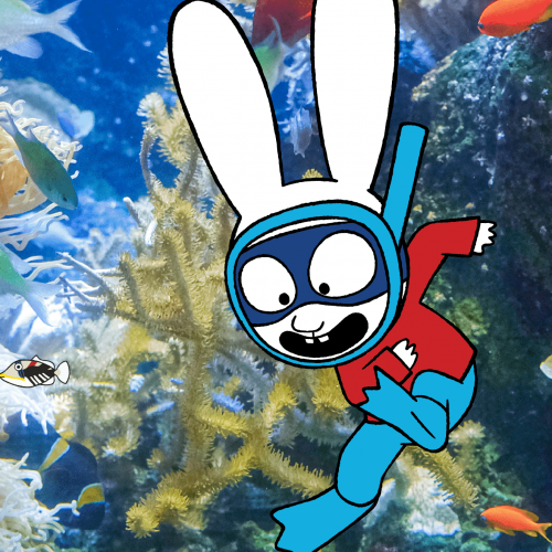 Expo Simon Super Lapin