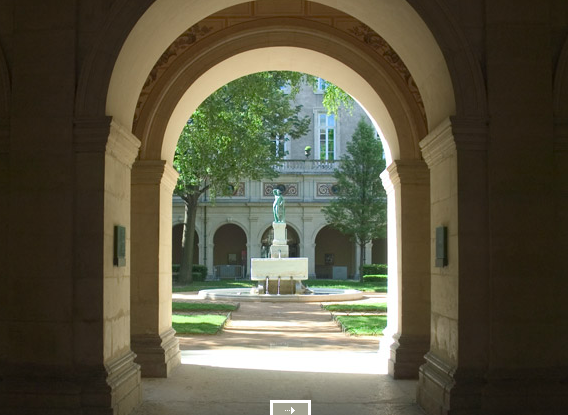 musée des beaux arts de Lyon - jardin