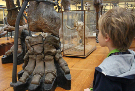 Musée d'Histoire naturelle de Paris