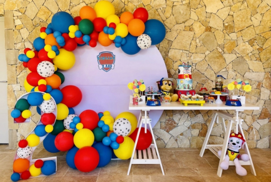 Anniversaire Pat'Patrouille - Arche de ballons