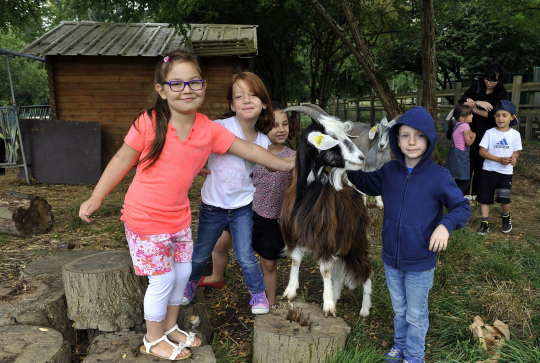 Photo Ferme des Iris