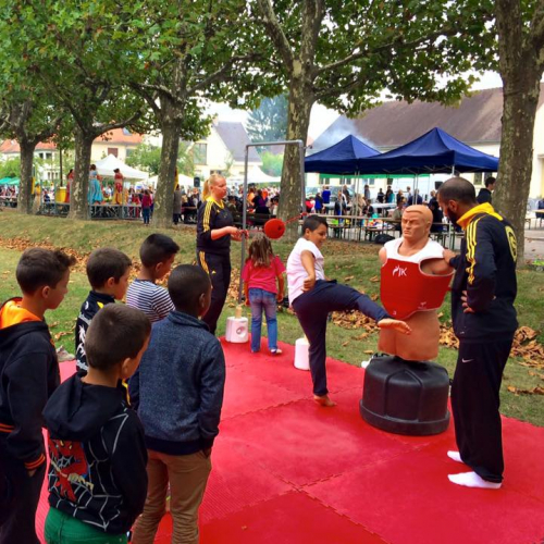 Marché aux puces et animations de la Meinau