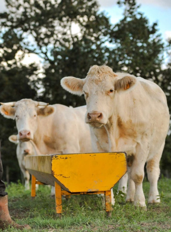 De Ferme en Ferme 2019