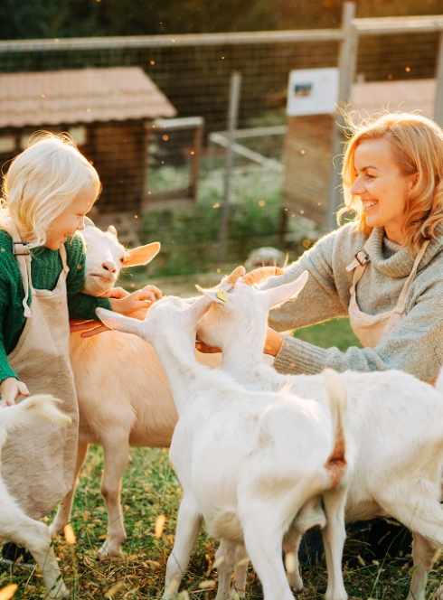 Top des fermes près de Nice : Visite d'une chèvrerie en famille