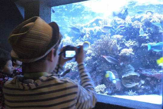 event_lesanimauxmarins_Paris_Fevrier2015_photographie