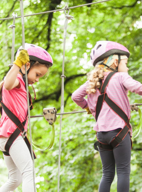 AccroCamp : accrobranche dans les arbres