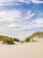 Le Touquet-Plage : dunes