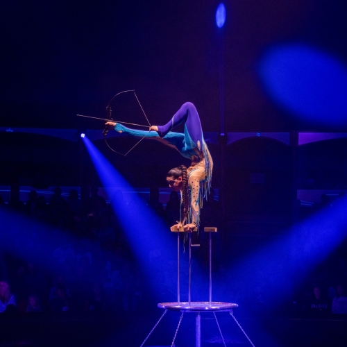 Arlette Gruss Extravagant