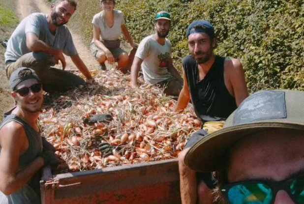 Le Boule d'Or, maraicher