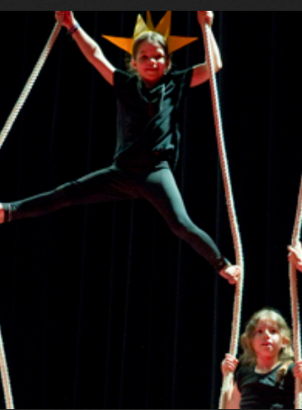 Fête du Lido : Otaries airplane