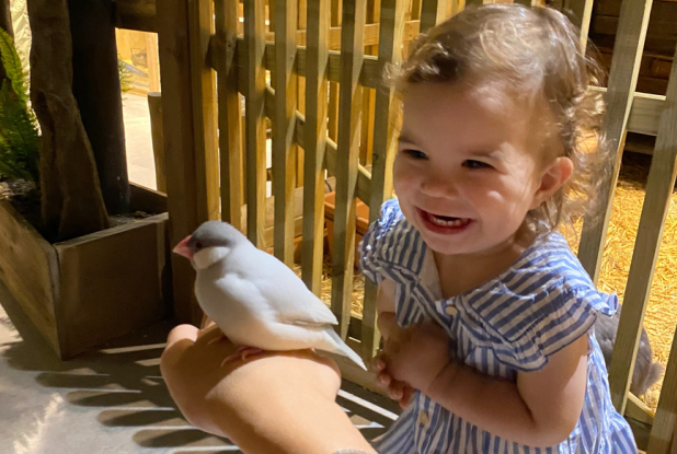 Le Monde de Noé Paris : oiseau