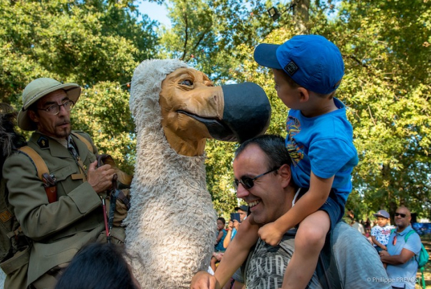 Les Odyssées : les dodos