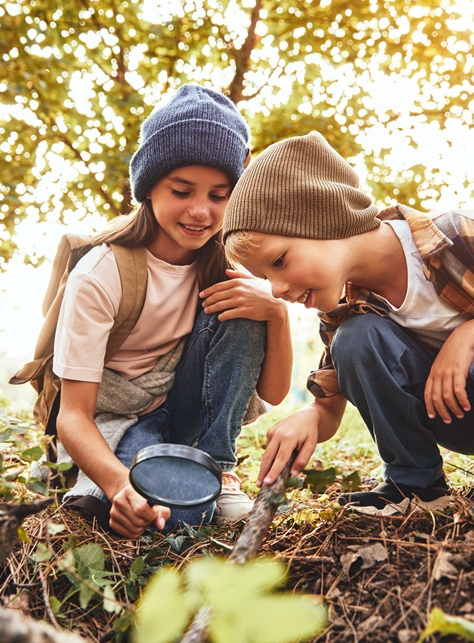 La Fête de la Forêt de Grima