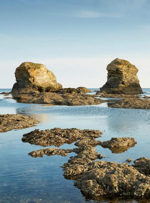 Saint-Hilaire-de-Riez, pineaux