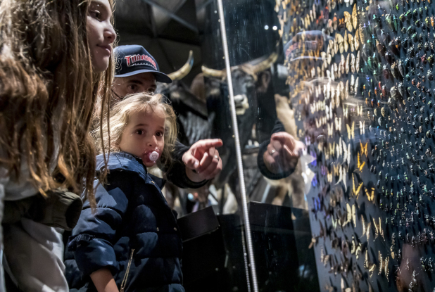Musée des Confluences : Enfant