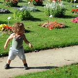Top des parcs pique-nique Nantes : jardin des plantes