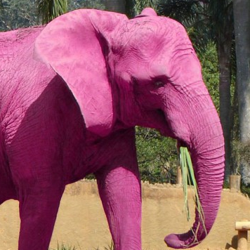 Eléphants roses du 1er avril