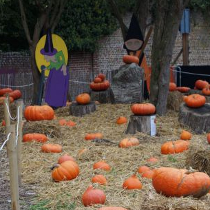 Fête de la Sorcière à Marchiennes