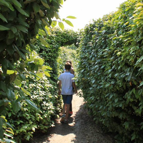 Anniversaires Grimmland