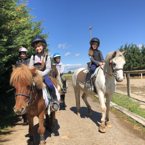 Équitation : suivez un cours pour enfant avec CitizenKid