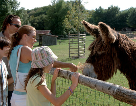 La prairie des Animaux du Puy du Fou