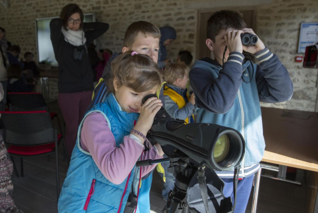 Domaine départemental de Montauger : observation enfant