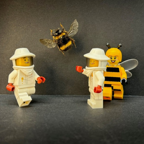 Expo Petite Histoire de la biodiversité : Apiculteurs en LEGO