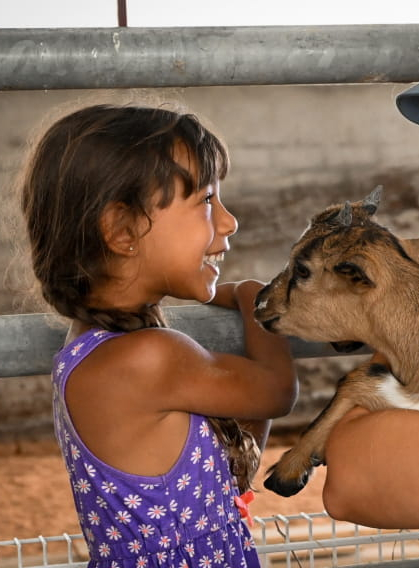 La ferme du champ rouge