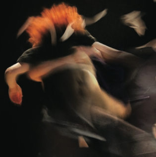 Carnages - L'entreprise