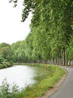 Voie verte Canal du Midi : courbe