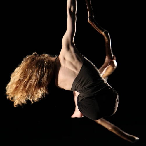 Hêtre et Phasmes - Cie Libertivore