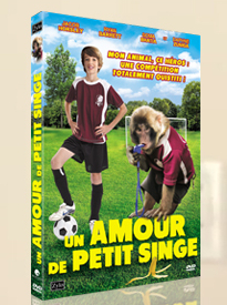 Un amour de petit singe
