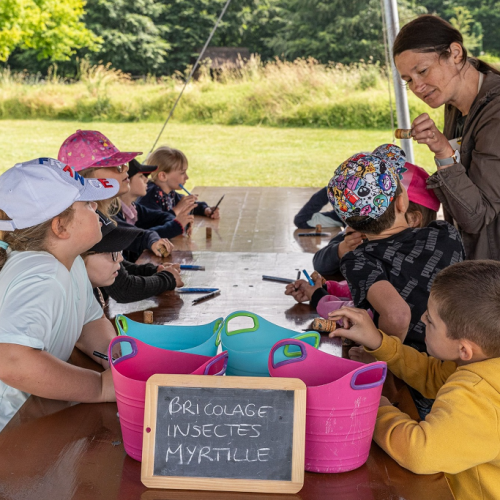 Les Mûres ont des Abeilles : Atelier en pleine nature avec les enfants