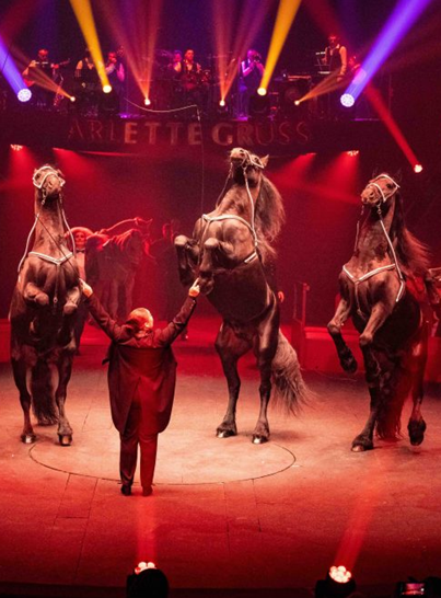 40 ans, la tournée anniversaire - Cirque Arlette Gruss : cheveux