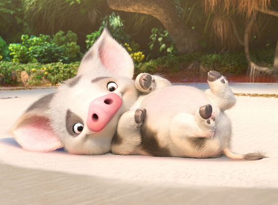 Vaiana, la légende du bout du monde - Pua