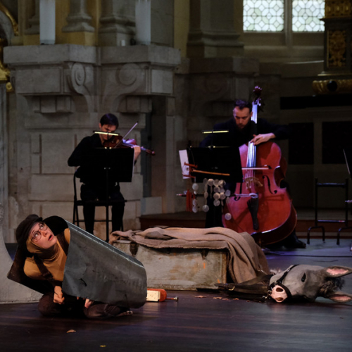 Les aventures de Pinocchio - Lucia Ronchetti