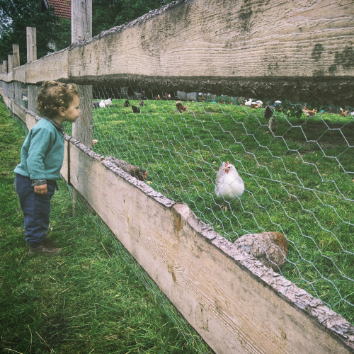 Anniversaire dans les fermes de Marseille