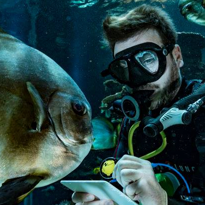 Votre premier tour du monde avec Nausicaá