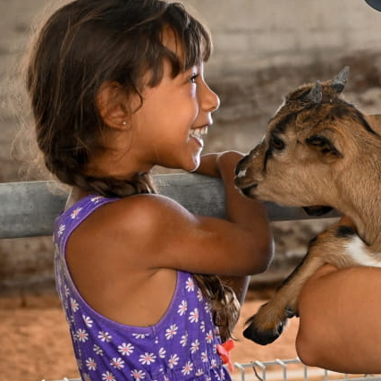 La ferme du champ rouge